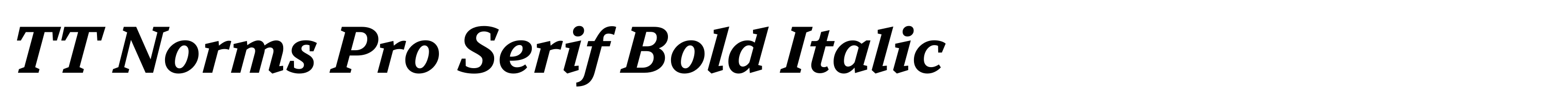 TT Norms Pro Serif Bold Italic